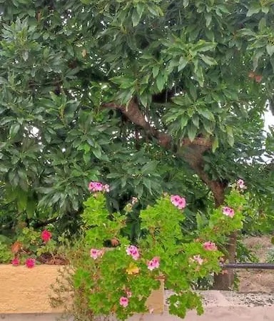 בית נופש Casa Luisa איקוד דה לוס וינוס